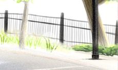 2013年12月之际,巨蟹座会有哪些重要的行动和决策需要做出?