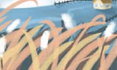 脱离束缚成就自我:双鱼座需要放下的八个限制