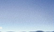 天秤座女性的人生探索之旅:发现乐趣与收获的深度探索