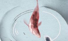 天秤座注意!你身边潜藏着的财富蛀虫可能正在威胁你的财富安全,需要小心防范!