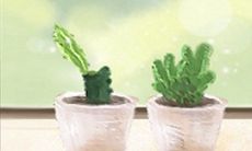 全方位揭秘:双鱼座如何打造独特家居装修风格