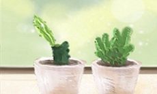 揭开狮子座家居装修风格的神秘面纱:用尽天赋创造出独特、豪华、霸气又富有个性的装饰方案!