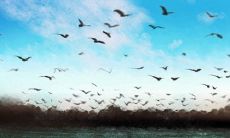 揭秘处女座鲜为人知的独特特质与优点