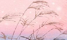 如何用12星座女性的独特魅力和技巧,成功地套牢男人的心?