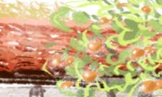 探究射手座童心指数的程度与特征:究竟有多少?