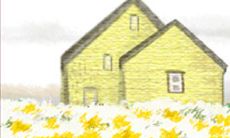 双鱼座必读!如何在高考前充分准备,迎接人生新阶段的挑战与机遇?