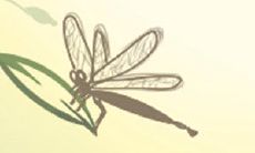 揭秘狮子座同情心指数之高的真相