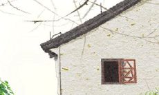 当巨蟹座遭遇恋人背叛时,应该选择什么?