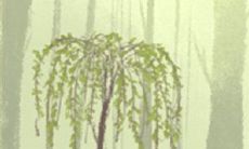 深度探析狮子座独特孤独感的解读与破解策略