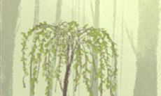 揭开天秤座独特孤独的面纱:探讨为何他们需要更多的自我疗愈和社交平衡来摆脱孤独感