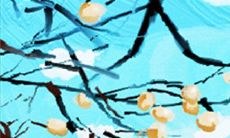 什么类型的游戏适合狮子座的人玩?