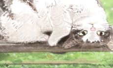 探究射手座视角下所谓幸福的本质和定义是什么?