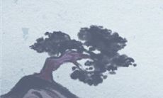 处女座如何度过人生的余下时光?