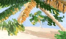 天秤座是如何评价和看待其他星座的?