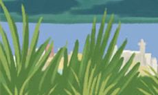 如何在大学新生中建立良好的双鱼座社交关系:探析相处技巧和策略