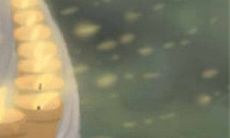 射手座对于爱情的杀伤力:探究其程度及表现方式