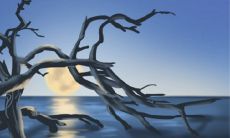 针对巨蟹座父亲的暑期汽车选择指南:如何在选购转型期家庭车时照顾到细节和全家人的需求