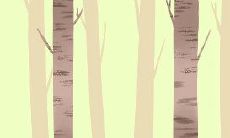 深度探析金牛座的谎言技巧:揭秘其隐藏的破绽