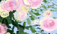 哪个星座最容易被金牛座吸引并坠入爱河?