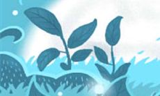 如何与水瓶座老板在不失尊重的情况下,有效地请求加薪并获得成功的技巧和策略?