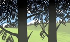 揭秘狮子座女生自拍的独特风格:充满自信与创意的摄影艺术!