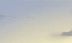 处女座的独特魅力——探究其在他人眼中的吸引力是由何而来?