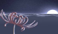 处女座必须认真注意的重要事项有哪些?