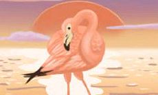 对水瓶座的人做事态度全方位分析