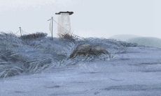 为巨蟹座女生量身定制的自制面膜,让你拥有健康亮丽的肌肤!