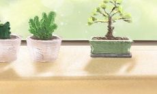 通过深入分析白羊座的压力源以及提供针对性的减压星座建议来缓解压力的详细指南