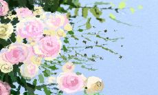 详解白羊座女生的时尚穿着:从个性搭配到流行趋势走向的全面探讨