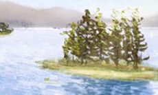 揭秘金牛座的神秘面纱:你绝对不知道的金牛座独特特质和行为习惯!