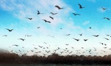 巨蟹座的性爱表现:男性和女性在性行为后的不同反应