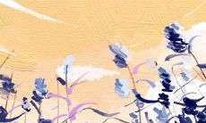 双子座男性是如何利用巧妙手段嗑草窝边,让人眼前一亮?