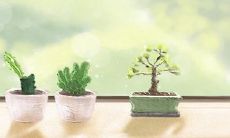 白羊座被温暖感动的细节瞬间,令人深切感受到人性的美好