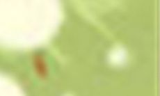 如何追求一位尚未谈恋爱的女性?分享几个小技巧来助你成功追求一位处女女生