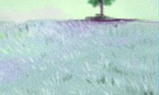 双子座的爱情温度:探究星座对恋爱情感的影响