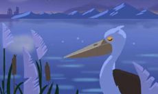 双鱼座的星座特性: 揭秘适合就读美国顶尖名校的双鱼座最佳方案