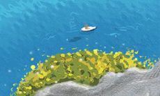 处女座的结婚对象选择对幸福姻缘的影响:寻找能与处女座完美契合的伴侣是关键所在