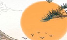 如何在事业上取得成功:处女座的绝佳指南