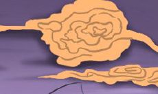 水瓶男心中最渴望与哪个星座女性进行性关系?