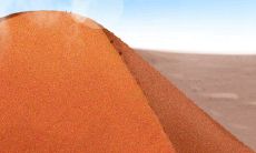 金牛座女性最热衷的求婚仪式场所及环境选取方案