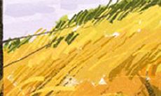 双子座的男性如何学会读懂女性的内心世界并实现更好的沟通和情感连接?