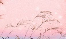 了解处女座的暗恋行为模式:她们会采用哪些策略来表达情感?