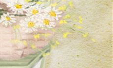 详尽揭晓:金牛座专属恶习集锦