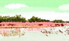 如何识别金牛座男性在感情中出轨的迹象?