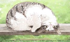 如何让天秤座男生敞开心扉,主动向心爱的人求婚?