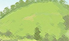 处女座的努力与智慧:解析如何在当前职场环境下赚取更多赏心悦目的薪水