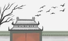 来自处女座的职场哲学:如何通过完美主义和认真努力实现职业成功