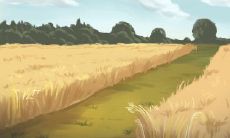 ? 巨蟹座会在哪些方面追求完美主义?